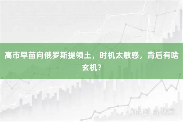高市早苗向俄罗斯提领土，时机太敏感，背后有啥玄机？