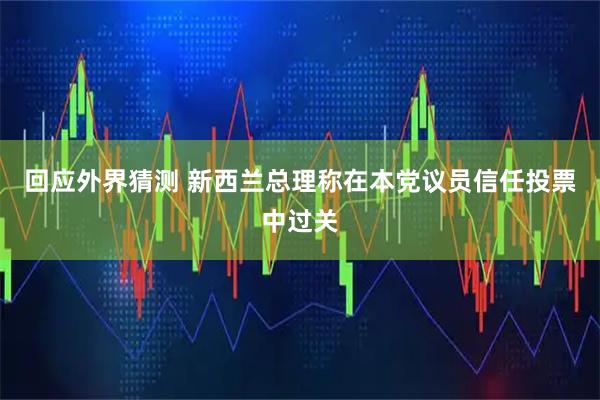 回应外界猜测 新西兰总理称在本党议员信任投票中过关