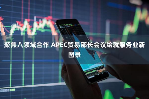 聚焦八领域合作 APEC贸易部长会议绘就服务业新图景
