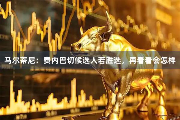 马尔蒂尼：费内巴切候选人若胜选，再看看会怎样